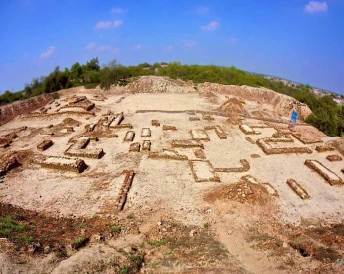 Indus_Valley_Civilization_-_Archaeological_site_of_Harappa-1-0513842d