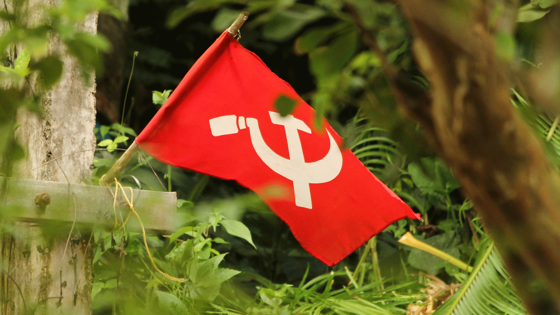Fall  & Fall of Communist Party of India - Bharatvoice